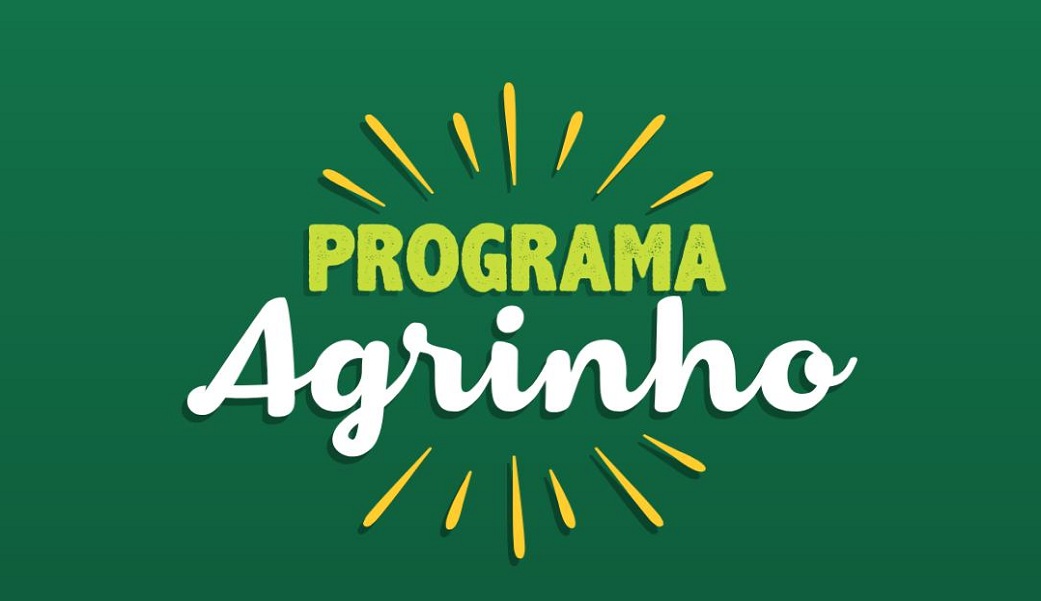 PROFESSORES COMPETENTES PREOCUPADOS COM A VIDA CIDADÃ ATRAVÉS DO PROGRAMA AGRINHO
