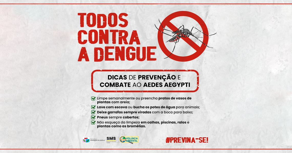 CONCEIÇÃO DO CASTELO NA LUTA CONTRA A DENGUE