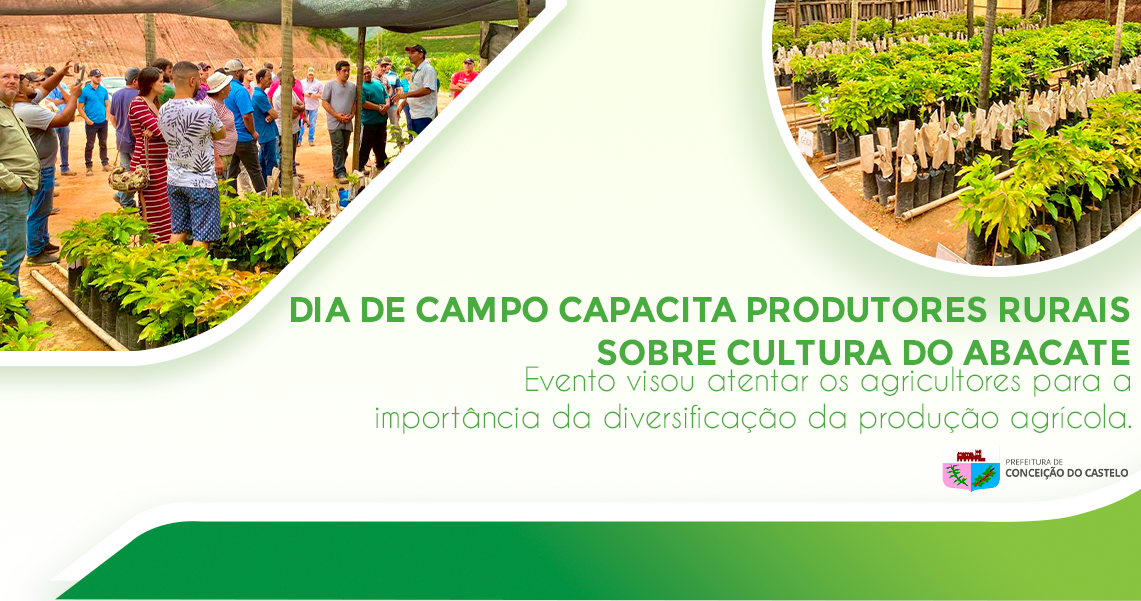 DIA DE CAMPO SOBRE A CULTURA DO ABACATE