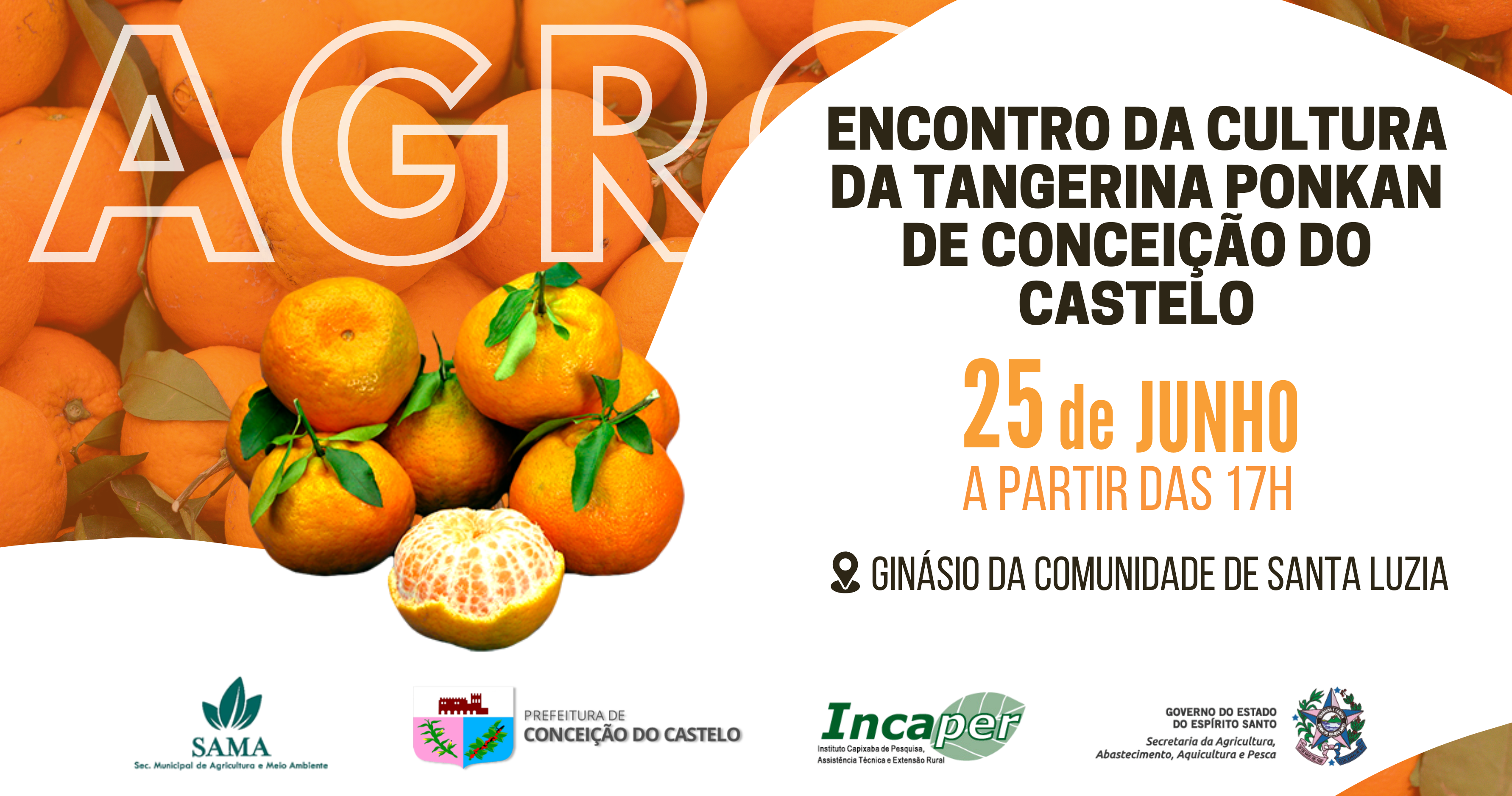 ENCONTRO DA CULTURA DA TANGERINA PONKAN