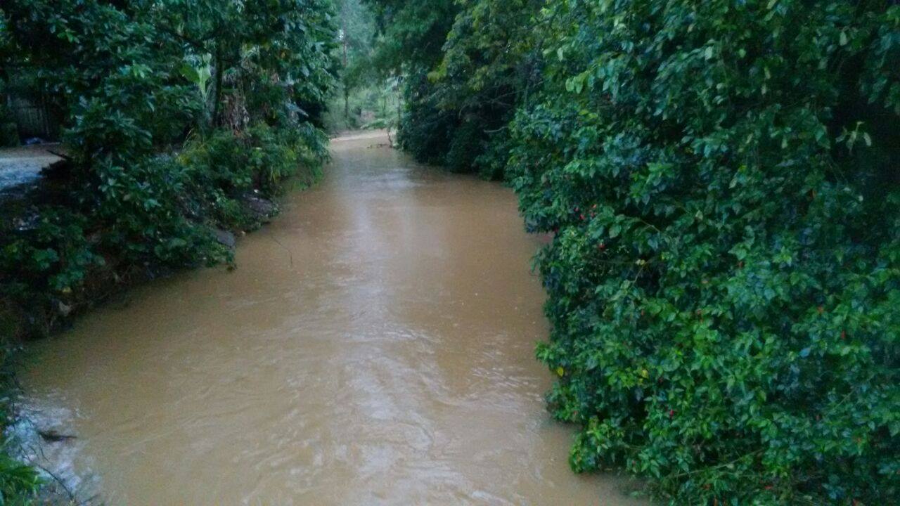 Chuvas traz esperança para agricultura local e vida para o Rio Castelo