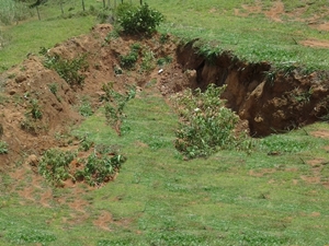 Meio Ambiente: Comunidade de Vargem Alegre recebe ações para recuperação de área florestal