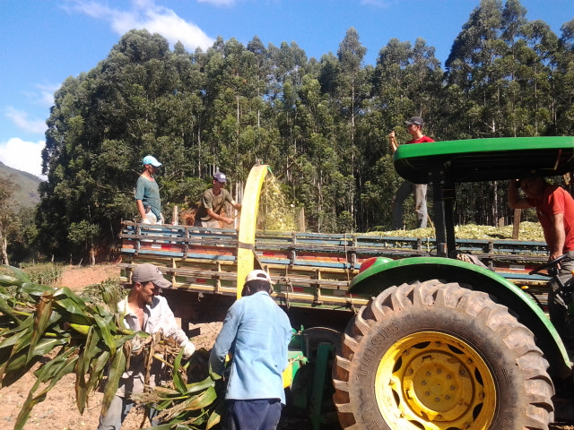 PRONAF realiza serviços de moagem de silos e construção de praça para implantação de secador de café em Monforte Frio