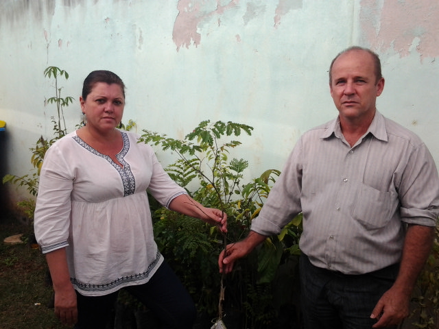 Agricultura entrega mudas de plantas nativas e frutíferas para a UMEF Elisa Paiva