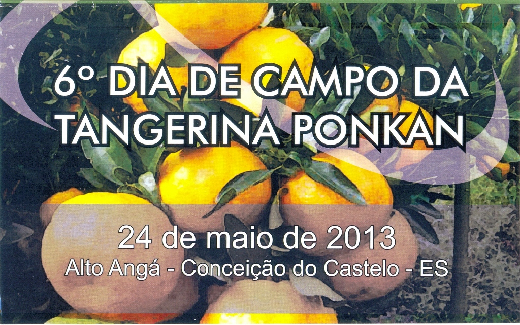  6° dia de campo da tangerina ponkan em Alto Angá