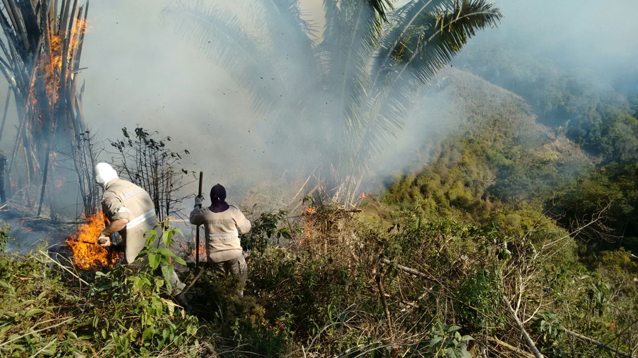 Alerta do Corpo de Bombeiros à população