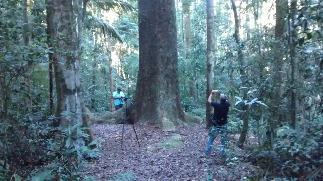 Trilha Imperial em Conceição do Castelo fará parte do documentário especial da TVE sobre a Rota Imperial de Ouro Preto (MG) a Vitória (ES)