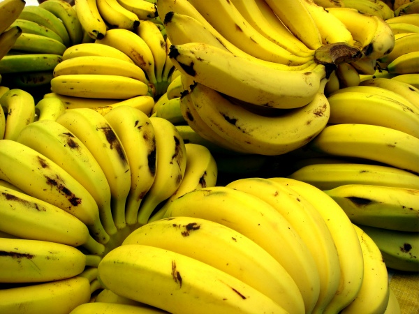 III FESTA DA BANANA EM RIBEIRÃO DE SANTA TEREZA