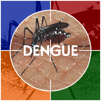 Famílias combatem a dengue e ganham prêmios