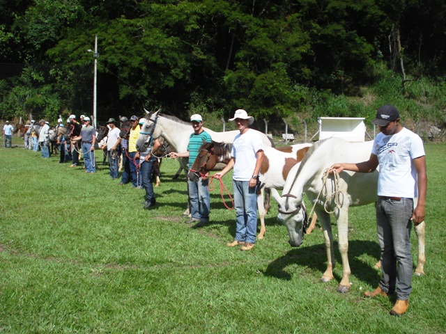 Incaper promoveu curso de doma racional para agricultores de Conceição do Castelo