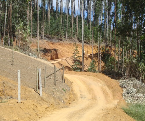 Secretaria de Obras conclui abertura de nova rua no centro