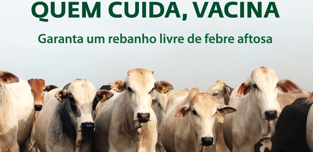 Campanha de vacinação contra febre aftosa é lançada no ES