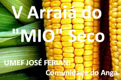 V ARRAIÁ DO “MIO” SECO NA UMEF JOSÉ FERIANI NA COMUNIDADE DO ANGÁ