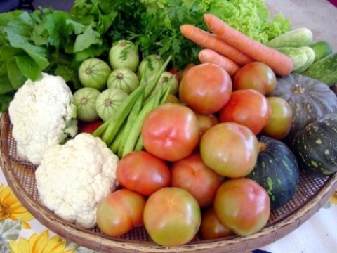 A QUALIDADE DA ALIMENTAÇÃO ESCOLAR NO MUNICÍPIO DE CONCEIÇÃO DO CASTELO É MUITO DIFERENTE DA RELATADA NO PROGRAMA DO FANTÁSTICO AOS OUTROS MUNICÍPIOS