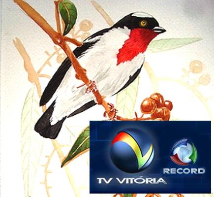 CORREDOR ECOLÓGICO SAIRA APUNHALADA RECEBE VISITA DA TV VITÓRIA, AFILIADA DA REDE RECORD